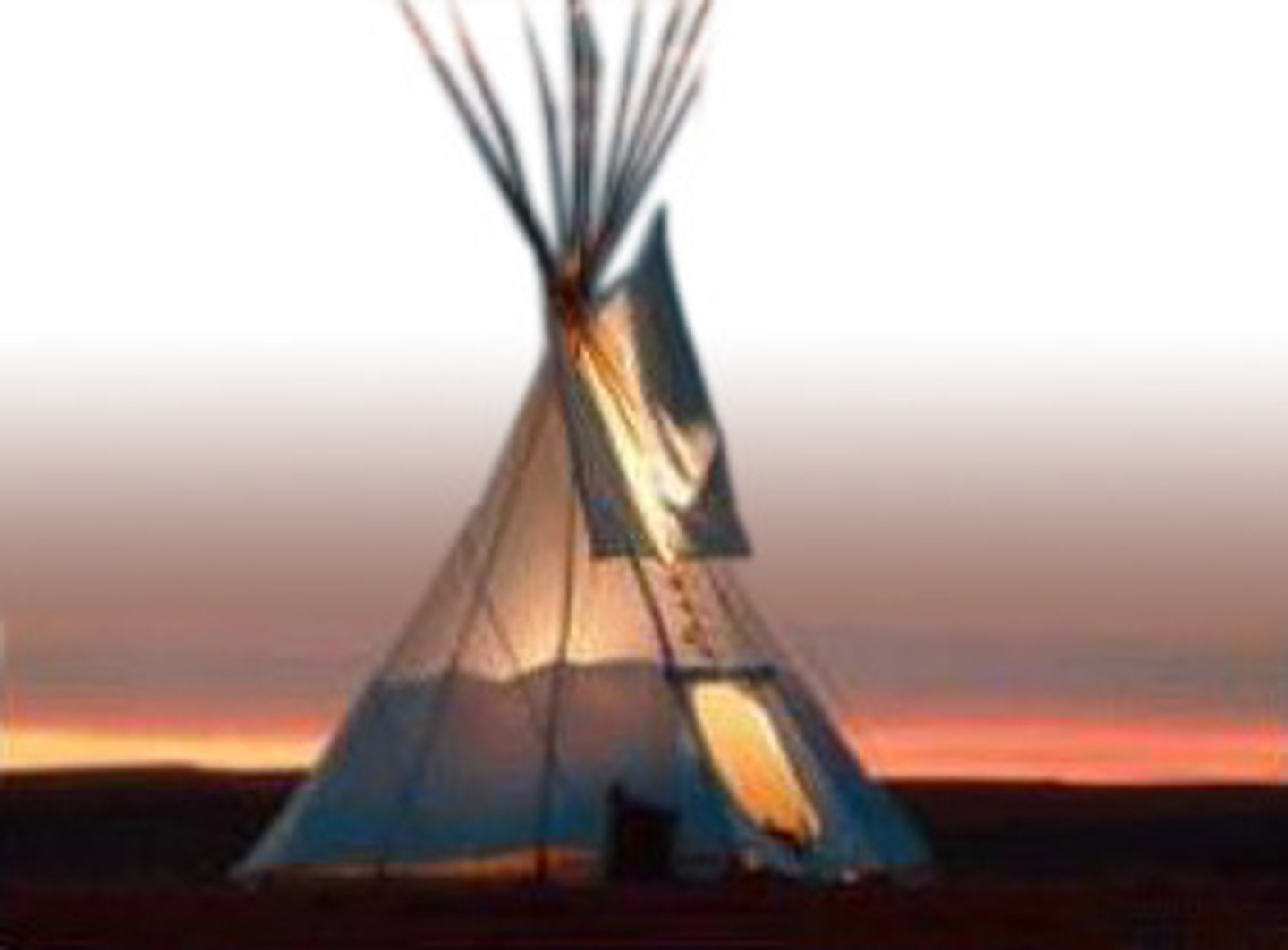 <p>a cone-shaped tent made out of animal skins used by Native Americans of the plains</p>