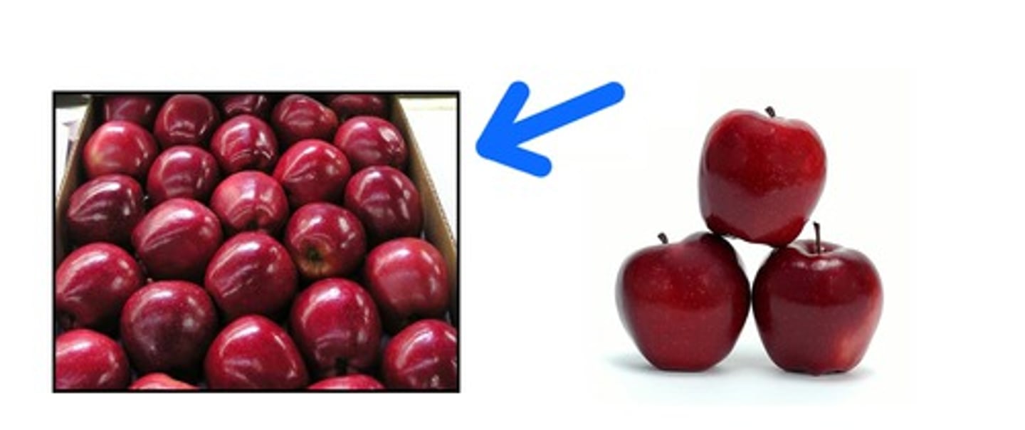 <p>to be many, much</p>