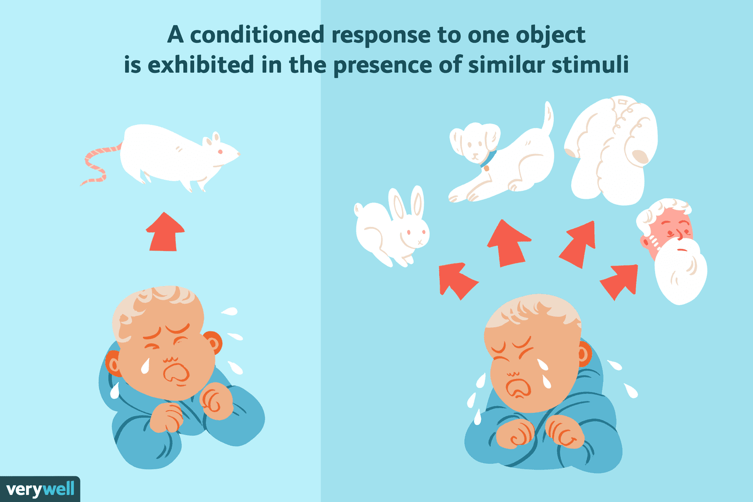 <p>stimulus generalization</p>