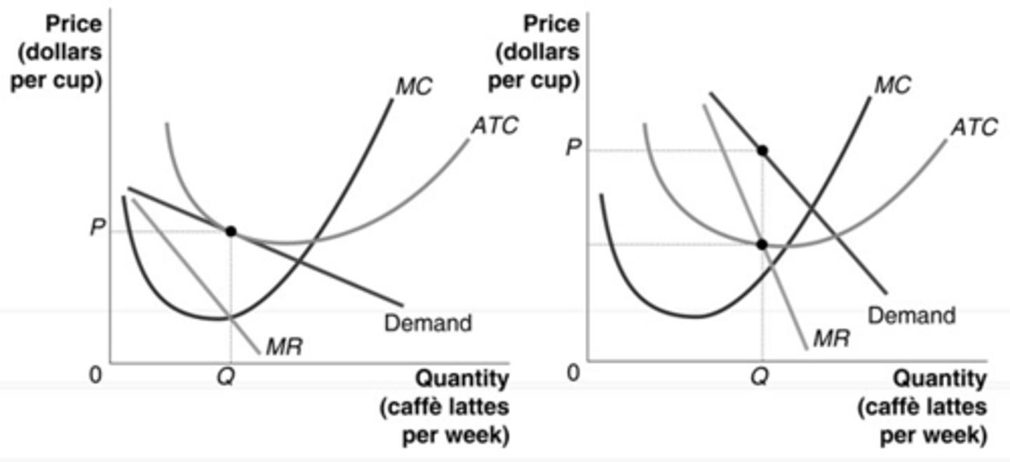 <p>a. the firm on the left</p>