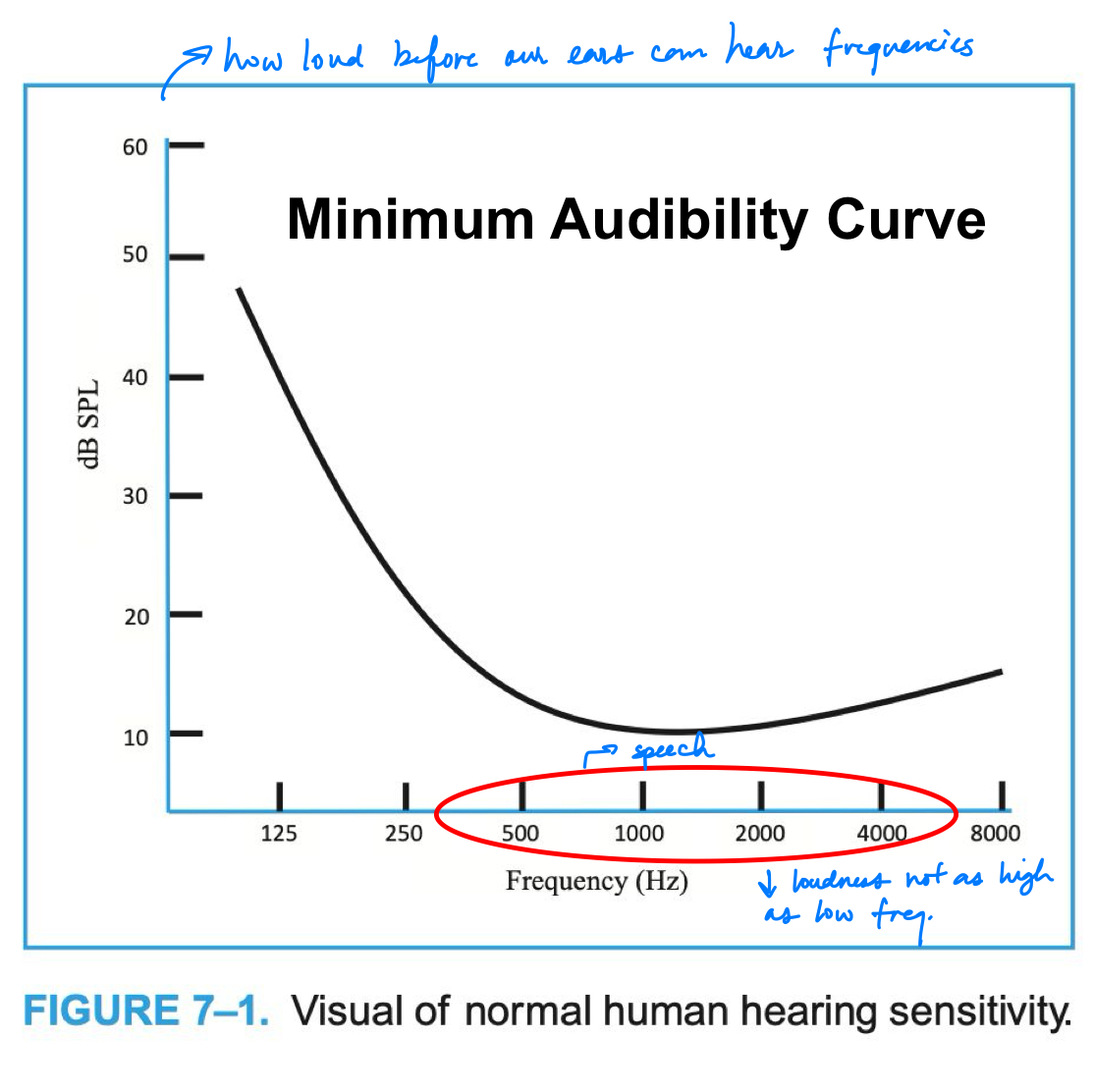 <p>normal hearing sensitivity </p>