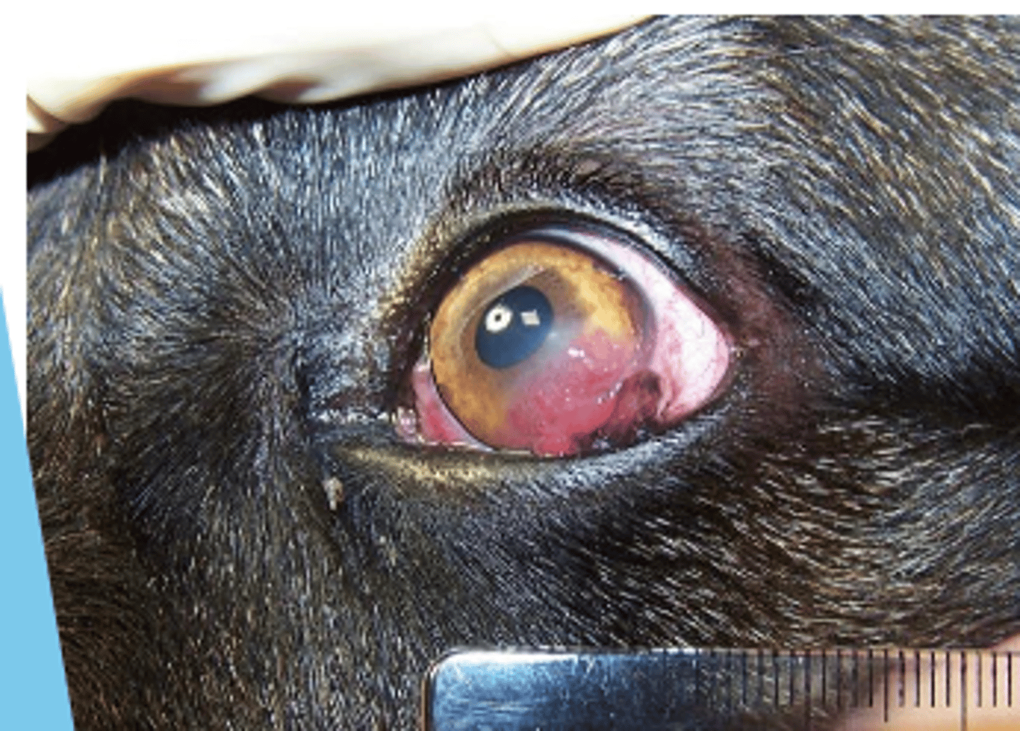 <p>what is the problem here?</p>