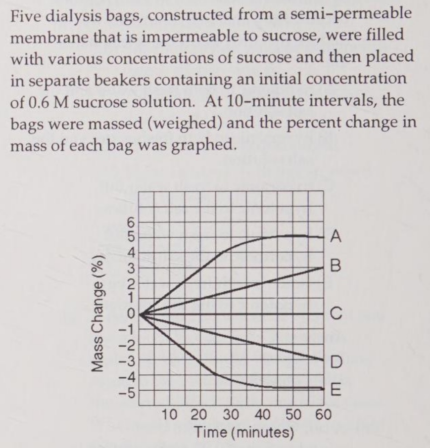 <p>Which line or lines represent(s) bags that contain a solution that is hypertonic at the end of 60 minutes?</p><p>A) A and B</p><p>B) B</p><p>C) C</p><p>D) D </p><p>E) D and E</p>