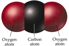 <p>carbon dioxide (CO2)</p>