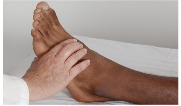 <p>typically lateral to and parallel with extensor tendon of big toe</p>