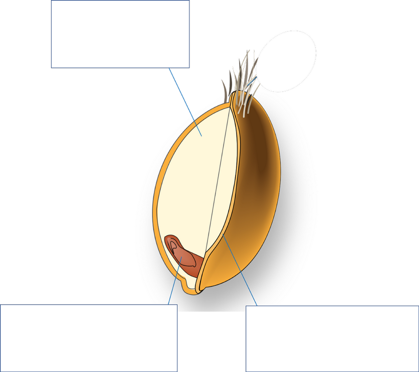 <p>What is LEFT, and what nutrients does it contain? (5)</p>