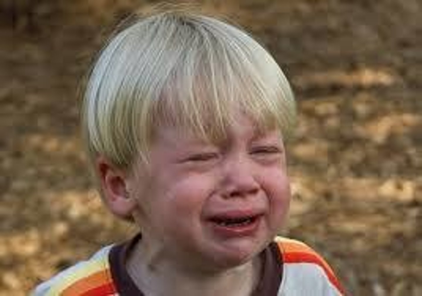 <p>moan, cry</p>