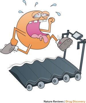 <p>What is the function of myofibrils?</p>