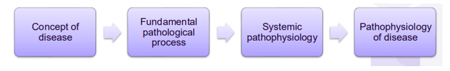 <p><span style="font-family: Aptos, sans-serif">Systems diseases can be broken down into multiple components</span></p>