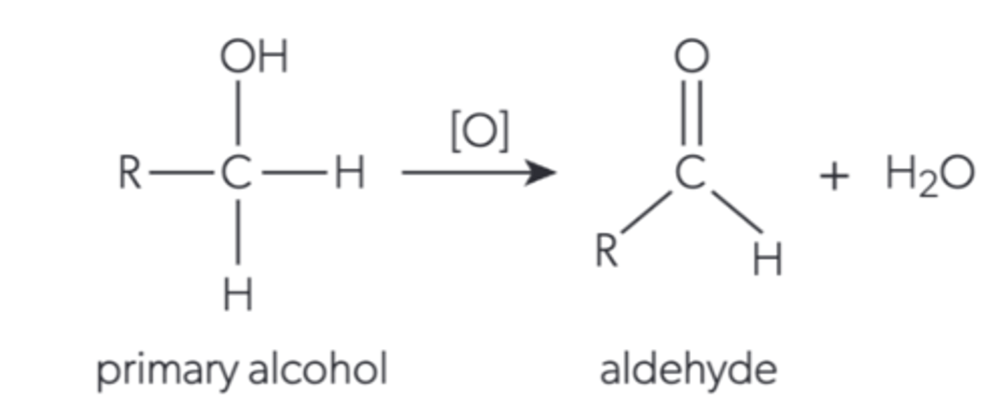 <p>It becomes an aldehyde and water is released</p>
