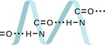 <p><span style="line-height: 27.6px;"><strong><span>Proteins are chains of amino acids that can form in a variety of arrangements, one of which is a helix. What is the predominant (strongest) intermolecular force responsible for holding the protein strand in this shape? From the protein image below, locate the molecular points where this intermolecular force hold the protein together?</span></strong></span></p>