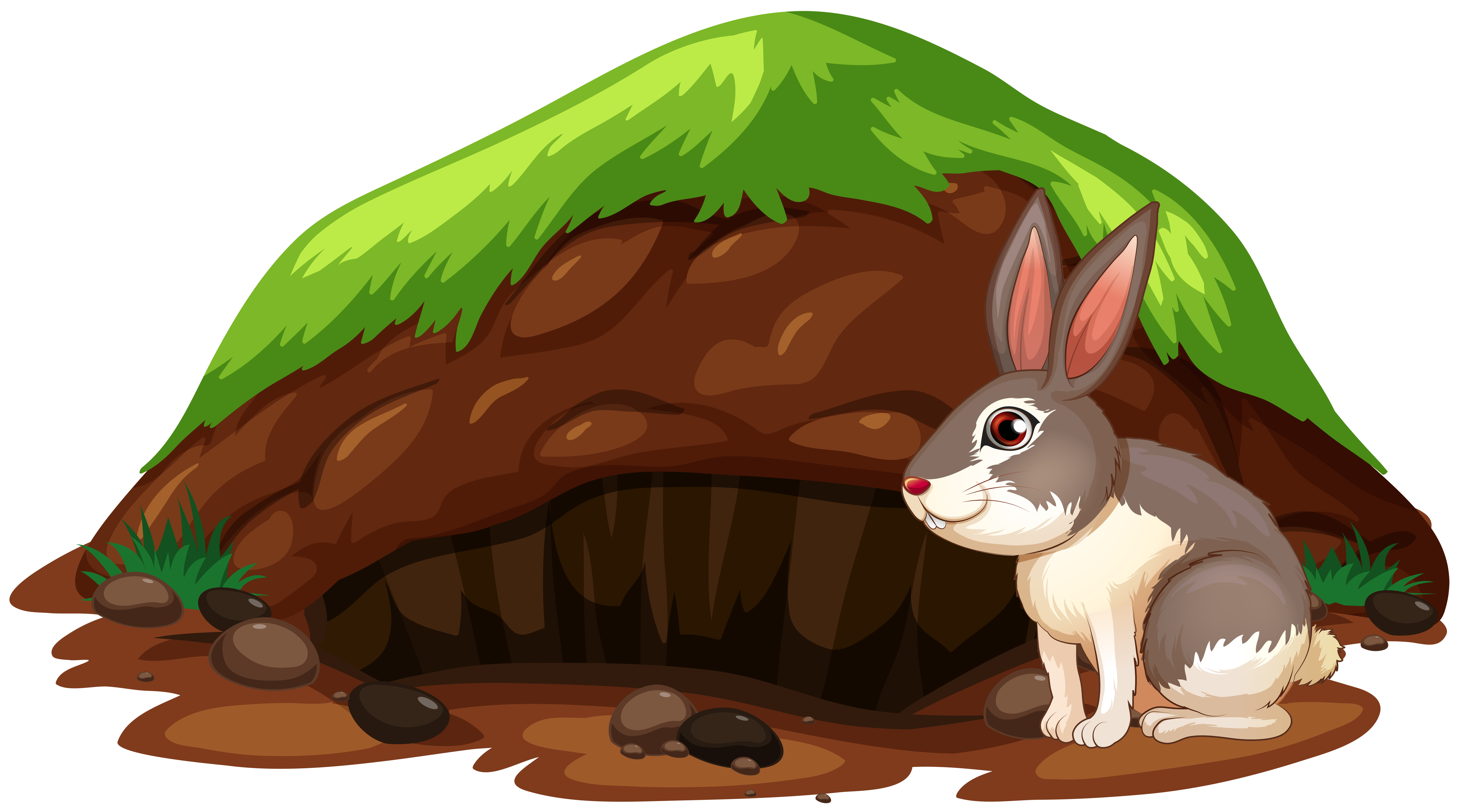 <p>Burrow</p>