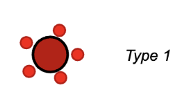 <ul><li><p>small diameter = less tension</p></li><li><p>slow myosin so tension development is slow</p></li><li><p>mostly oxidative phosphorylation which requires O2</p></li><li><p>many mitochondria and many capillaries to provide O2</p></li><li><p>large amounts of myoglobin to aid in O2 diffusion and to store O2 (dark meat)</p></li><li><p>resistant to fatigue&nbsp;</p></li><li><p>ex. postural muscles</p></li></ul><p></p>