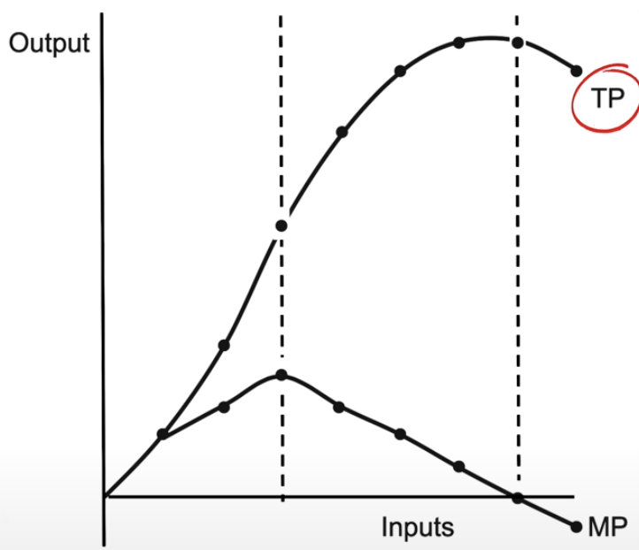 <ul><li><p>TP = total product = total amount produced</p></li><li><p>as you hire more workers TP increases at an increasing rate, then increases at a decreasing rate, then eventually starts decreasing</p></li></ul><p></p>