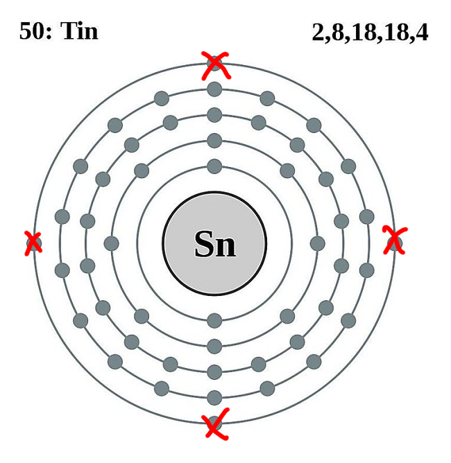 <p>Sn⁴⁺ (Monatomic Cation)</p>