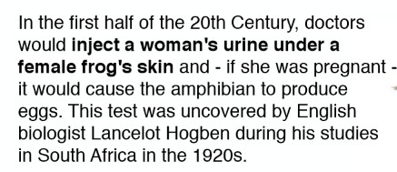 <p>La Gonadotropina coriónica humana (hCG)</p><p>Fun fact en la imagen </p>