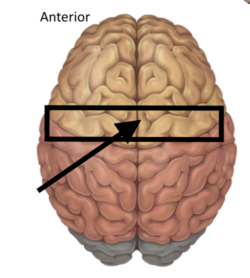 <p>Name the structure</p>