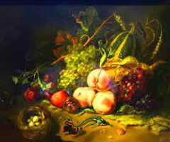 <p><em>Fruit and Insects</em></p>