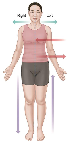 <p></p><ul><li><p>Usually applies to limbs (arms or legs).</p></li><li><p>Farthest to the trunk/origin (shoulders, chest, lower abdomen, back, buttocks)</p></li></ul><p></p>