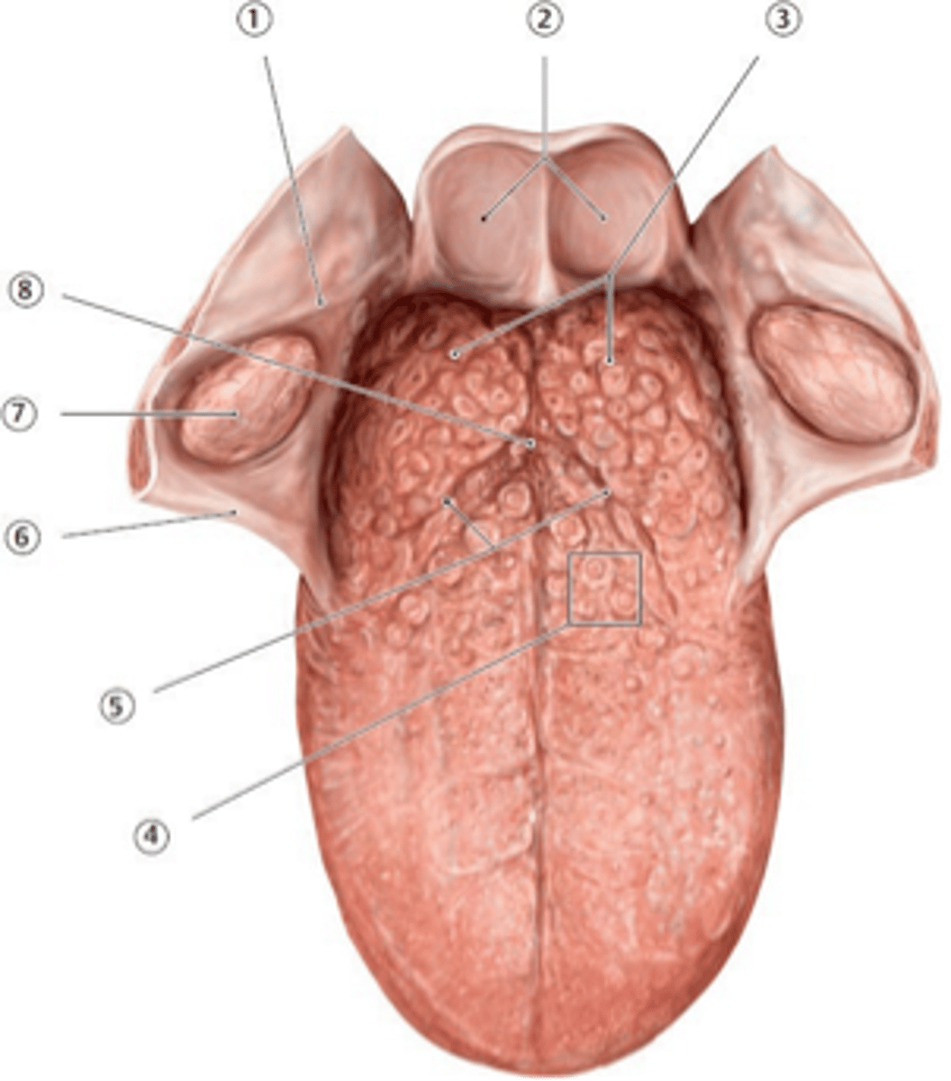 <p>6?</p>