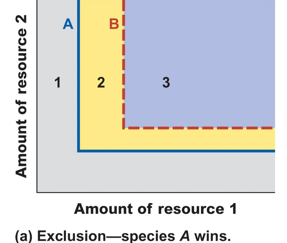 <p>Considering the figure below, which of the following statements is correct?A. The figure represents an outcome of competition predicted by Tilman’s model of inter-specific competition B. The figure represents an outcome of competition predicted by the Lotka Volterra model of inter-specific competition C. Given that Species A wins, the blue line must represent the zero isocline for Species A D. Given that Species A wins, the red dotted line must represent the zero isocline for Species A E. A and C</p>
