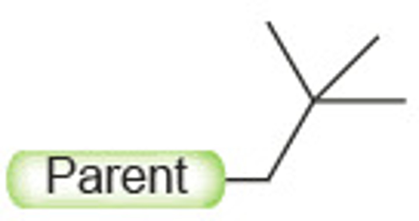 <p>5 total but 2 additional on the second</p>