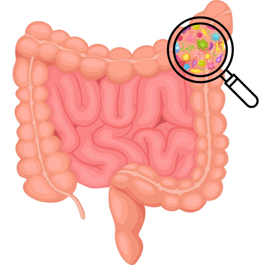 <p>gut</p>
