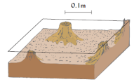 <ul><li><p>Uniform erosion from the entire soil surface following detachment due to raindrops.</p></li></ul><ul><li><p>Particles transported by shallow sheet flow and delivered to rill channels, leading to soil loss.</p><p></p></li></ul><p></p>
