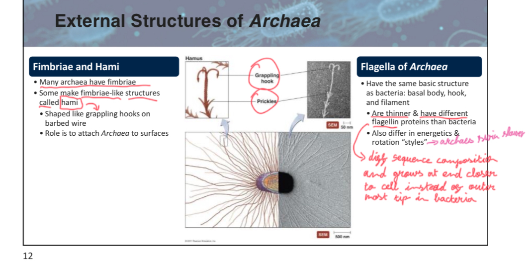 <p>False </p><p>attach slide 12 w3p5</p>