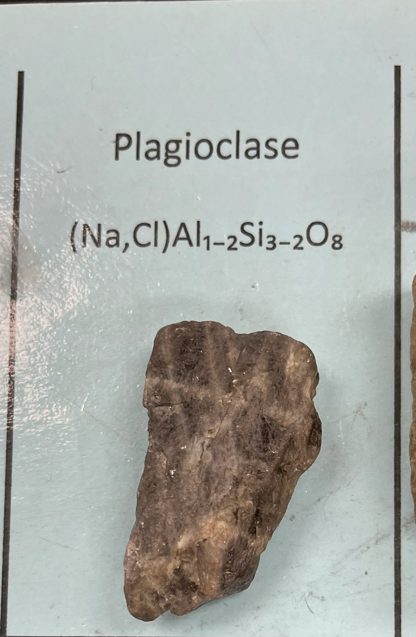 <p>Plagioclase</p>