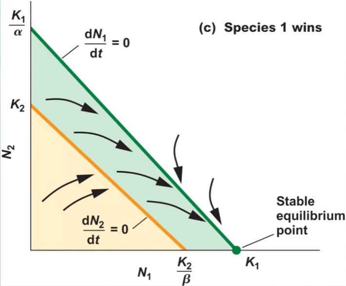 <p>what is this graph showing you?</p>