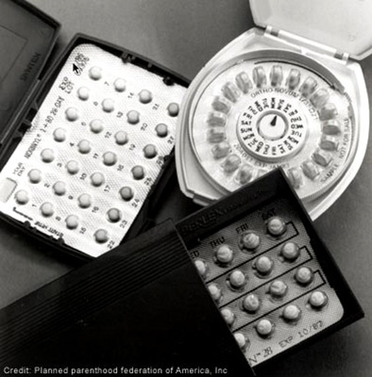 <p>methods of preventing conception</p>