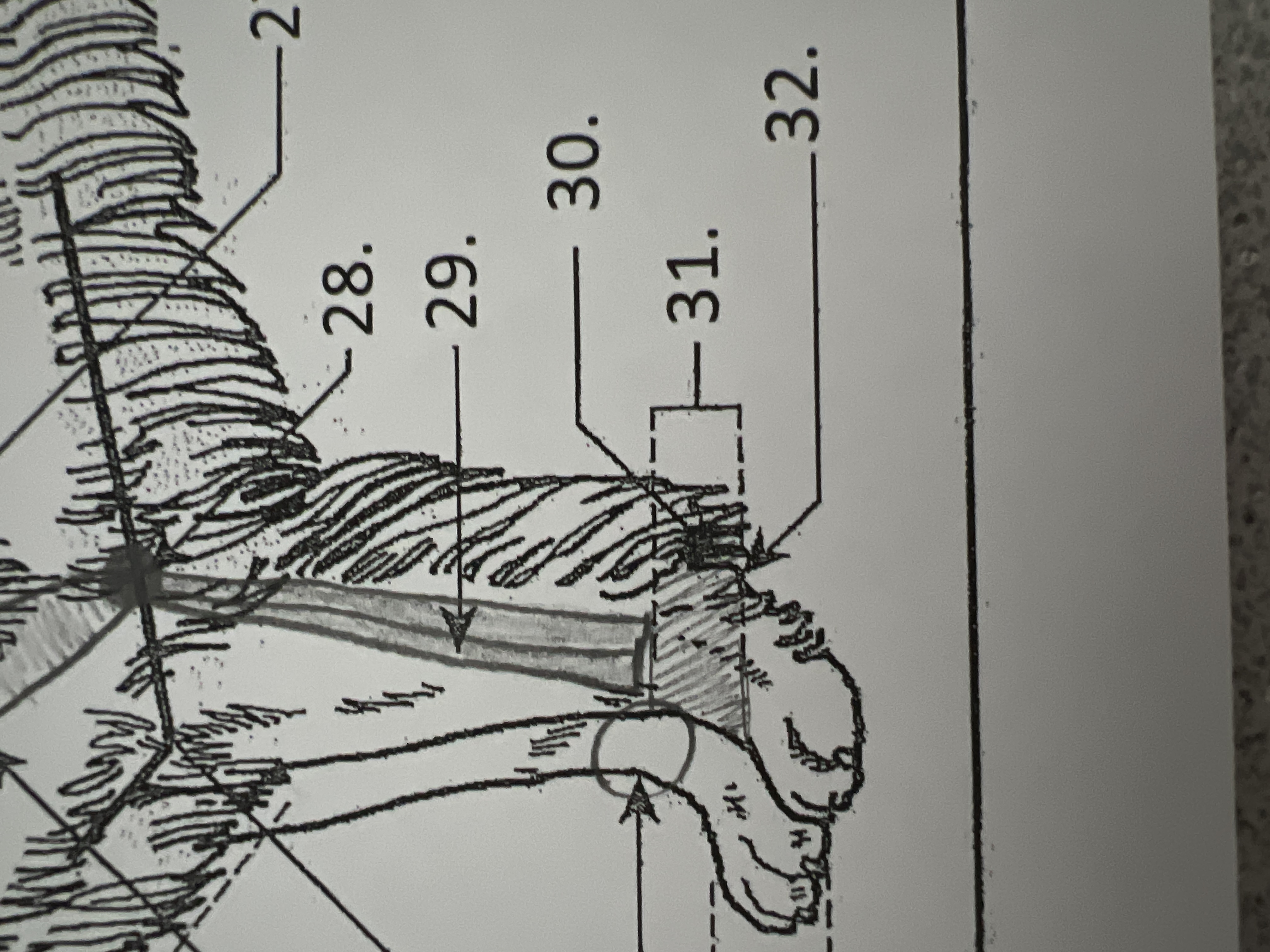 
31. \
