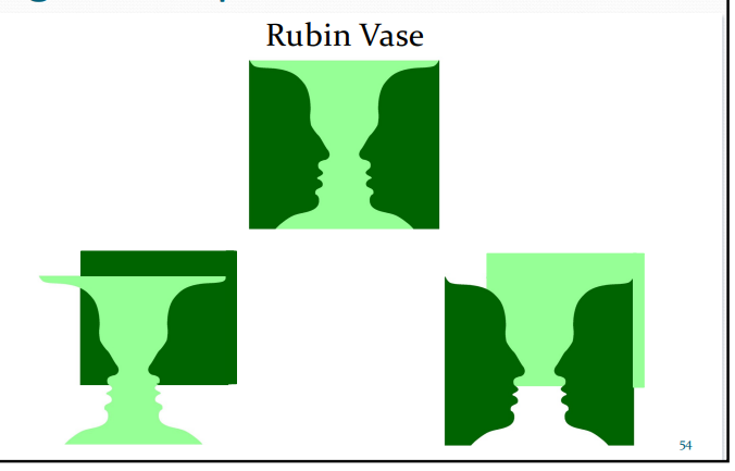 <ul><li><p>is ambiguous – it can be perceived as either a vase or two faces.</p></li><li><p>It is therefore not clear what the figure is – two faces or one vase.</p></li><li><p>If the vase is brought in front of the image it is then seen as the figure.</p></li><li><p>If the two faces are brought in front of the image, they are then seen as the figure.</p></li><li><p>This shows that depth ordering affects figure perception.</p></li><li><p>Take home message: Regions of an image in front of the rest of the image tend to be seen as figures (i.e. they are seen as objects)<br></p></li></ul><p></p>