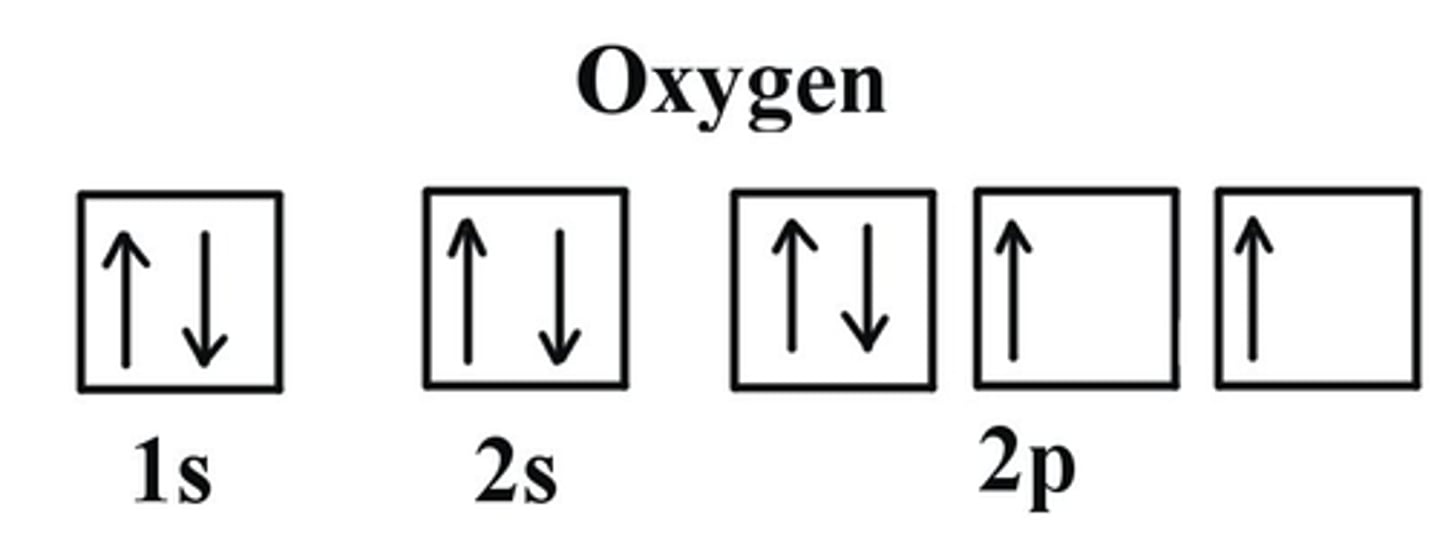 <p>1. Find the Electron Configuration of Oxygen:</p><p>1s2 2s2 2p4</p><p>2. There are a total for 8 electrons</p><p>3. Make sure to fill in the electrons (arrows) in EACH box first then you can go back and fill the rest in:</p>