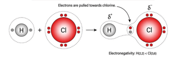 <p>An atom's inherent ability to attract electrons towards its nucleus in a chemical bond</p>