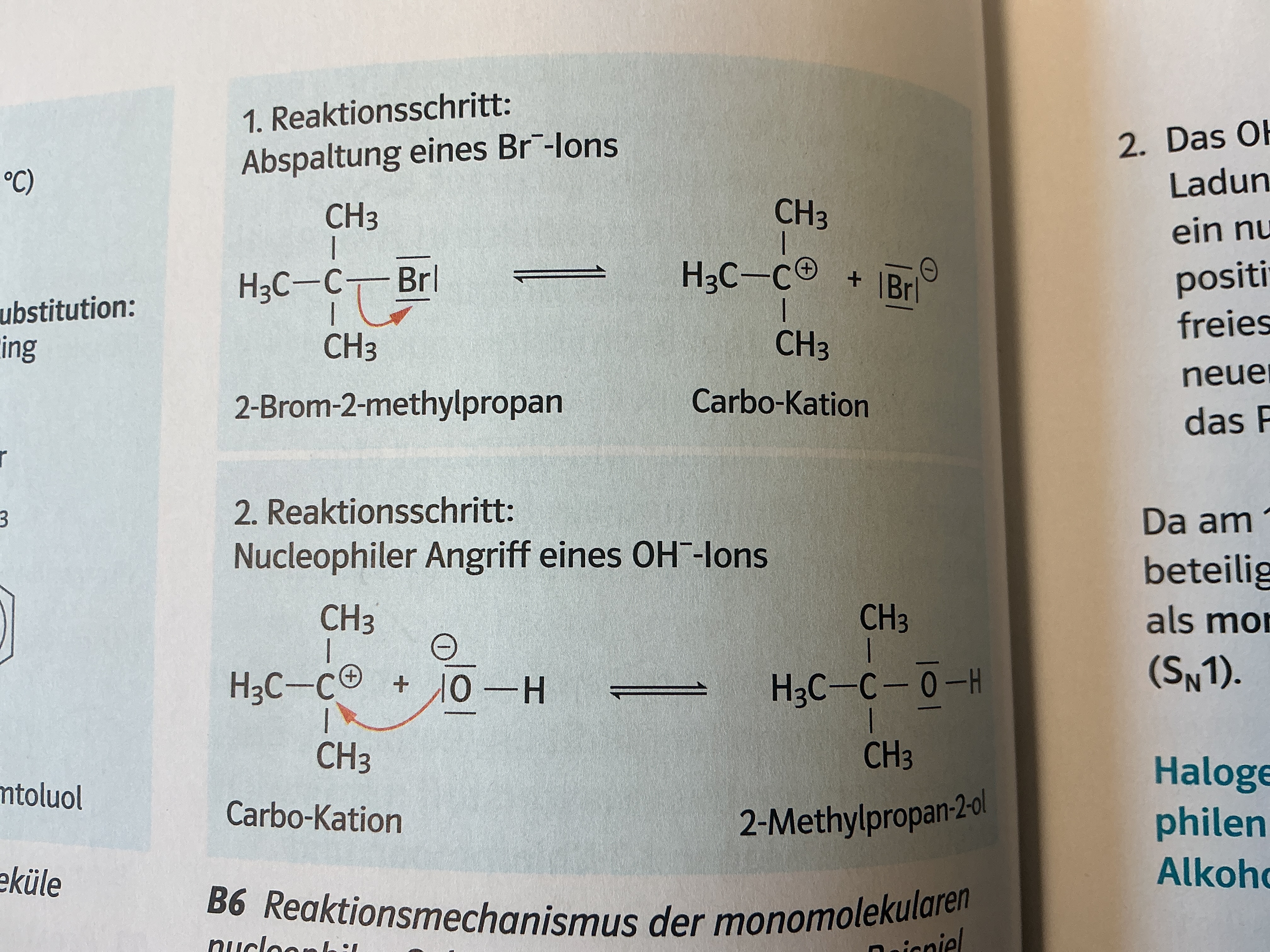 <ol><li><p>Halogen spaltet von C ab → Postive Ladung C, negative Halogen</p></li><li><p>Da Im alkalischen, viele OH Moleküle (O negativ)</p></li><li><p>C + verbindet sich mit O-</p></li><li><p>Wie bei ester</p></li></ol><p></p>