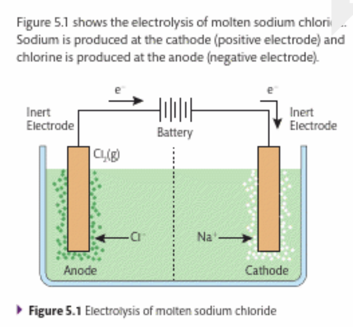 <p>What is produced by this reaction? </p>