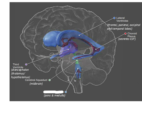 <p>what is this?</p>