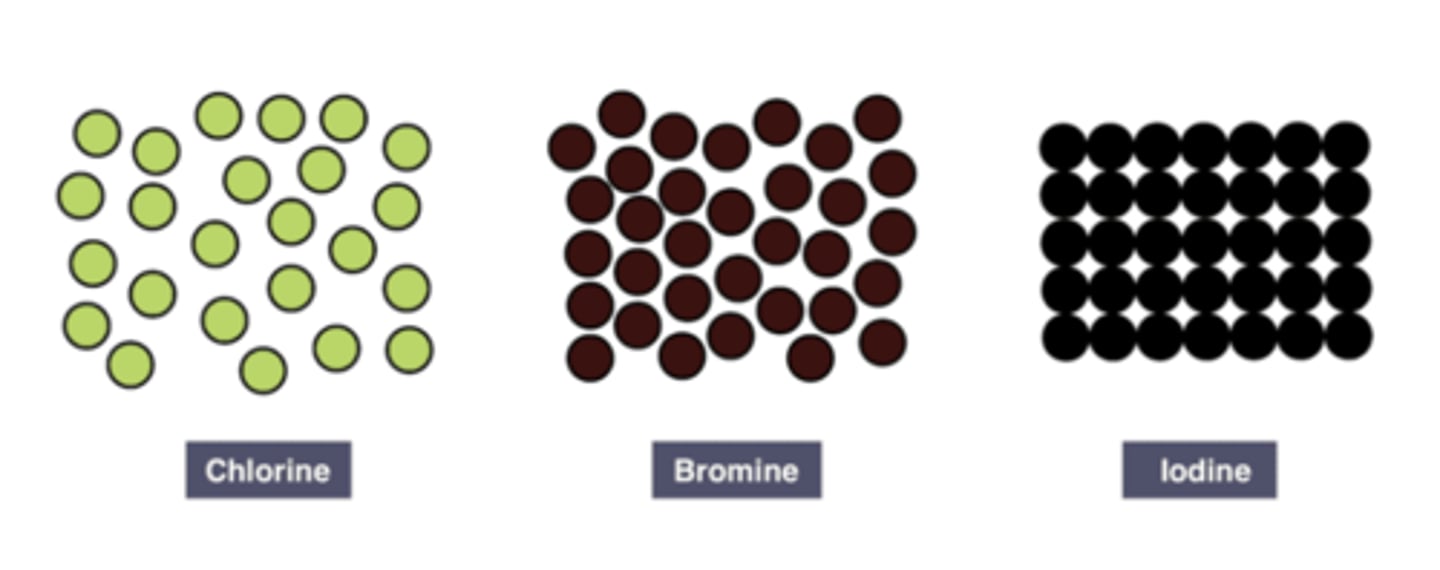 <p>At room temperature (20 °C), the physical states of the Halogens become more hard and set.</p><p>Chlorine is a gas, bromine is a liquid and iodine is a solid.</p>