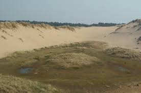<p>What are dune slacks?</p>