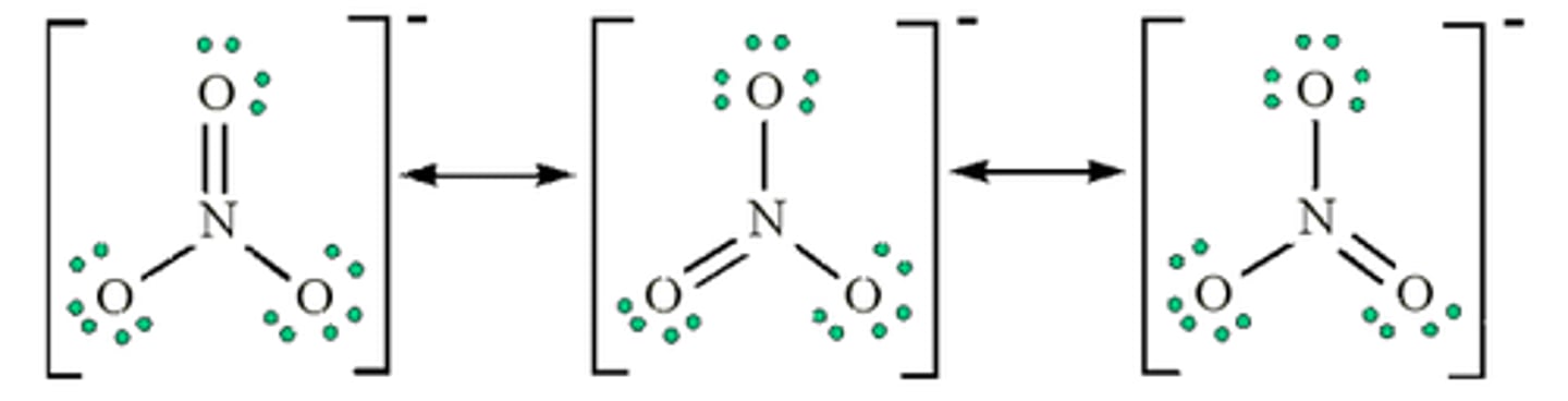 <p>resonance structure</p>