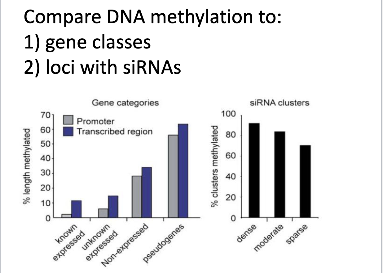 <p>What can you take away from these bar graphs</p>