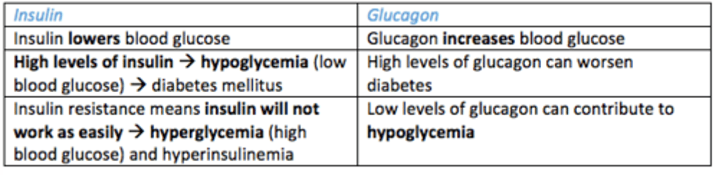 <p>HIGH <br>INSULIN - leads to hypoglycemia (low blood glucose) → diabetes mellitus<br>GLUCAGON -  high glucagon can WORSE DIABETES</p>