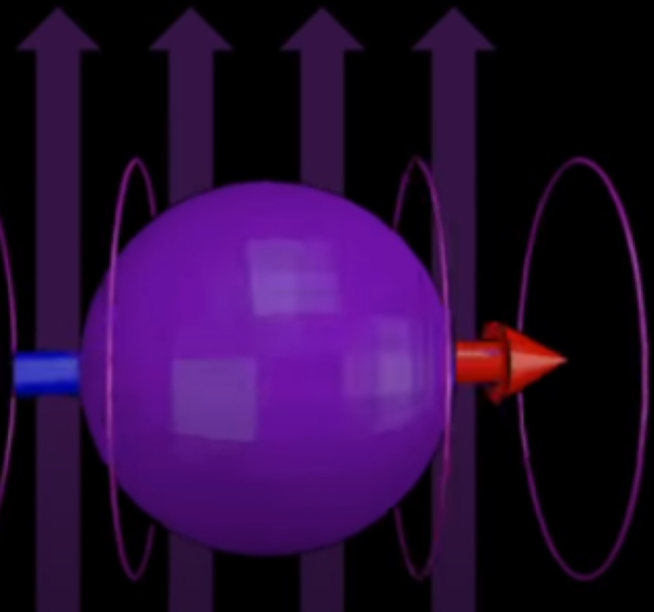 <p>What does this picture show?</p>