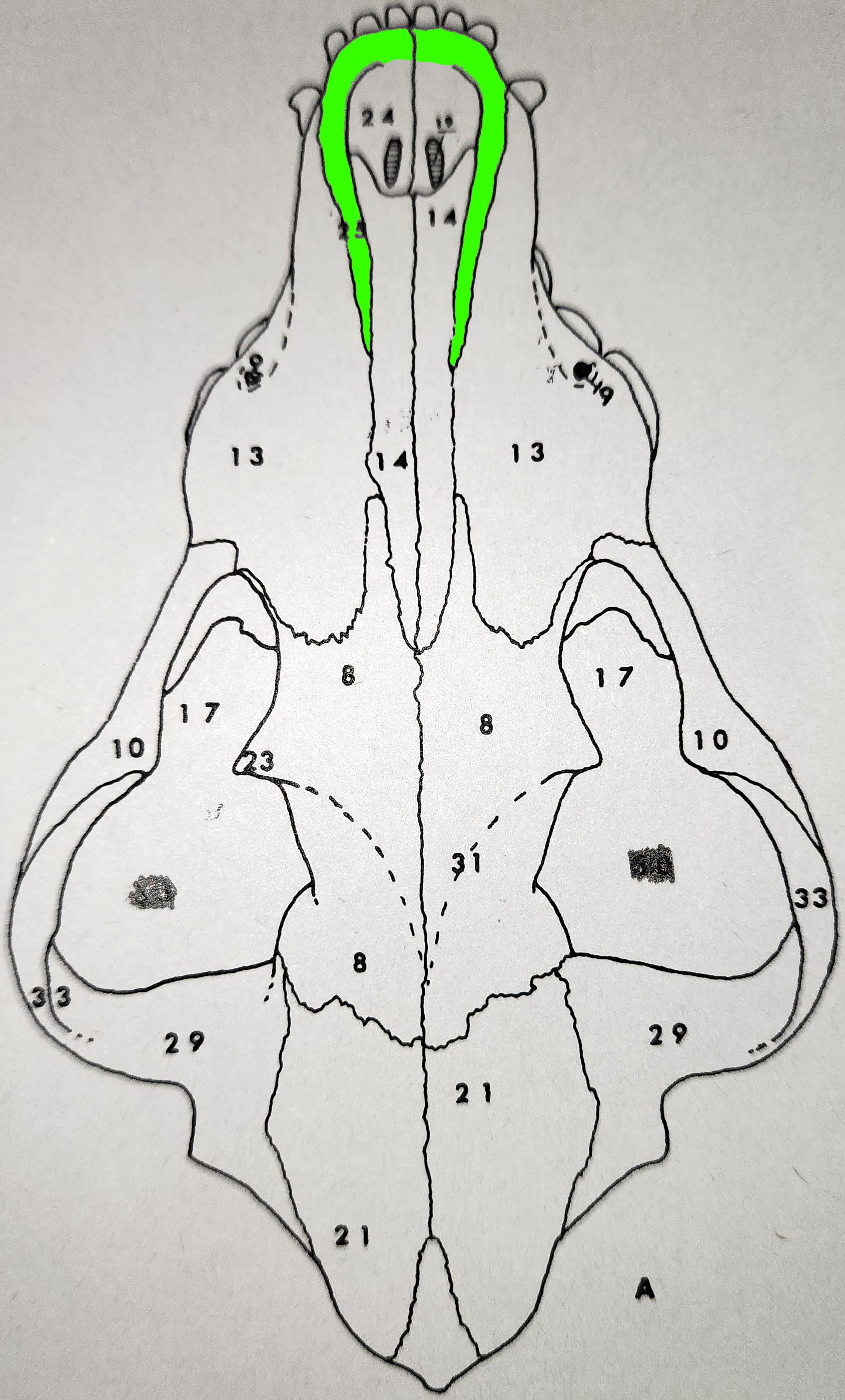 knowt flashcard image