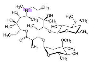 <ul><li><p>best on empty stomach</p></li><li><p>15-member cyclic ring</p></li><li><p>any increase in pH (antacid) delays absorption</p></li><li><p>longest half-life (68h) </p><ul><li><p>NOT substrate for CYP3A4</p></li></ul></li><li><p><strong>tertiary amine</strong> in lactone ring increases acid stability</p><ul><li><p>will become positively charged so increases gram-negative activity </p></li></ul></li></ul>