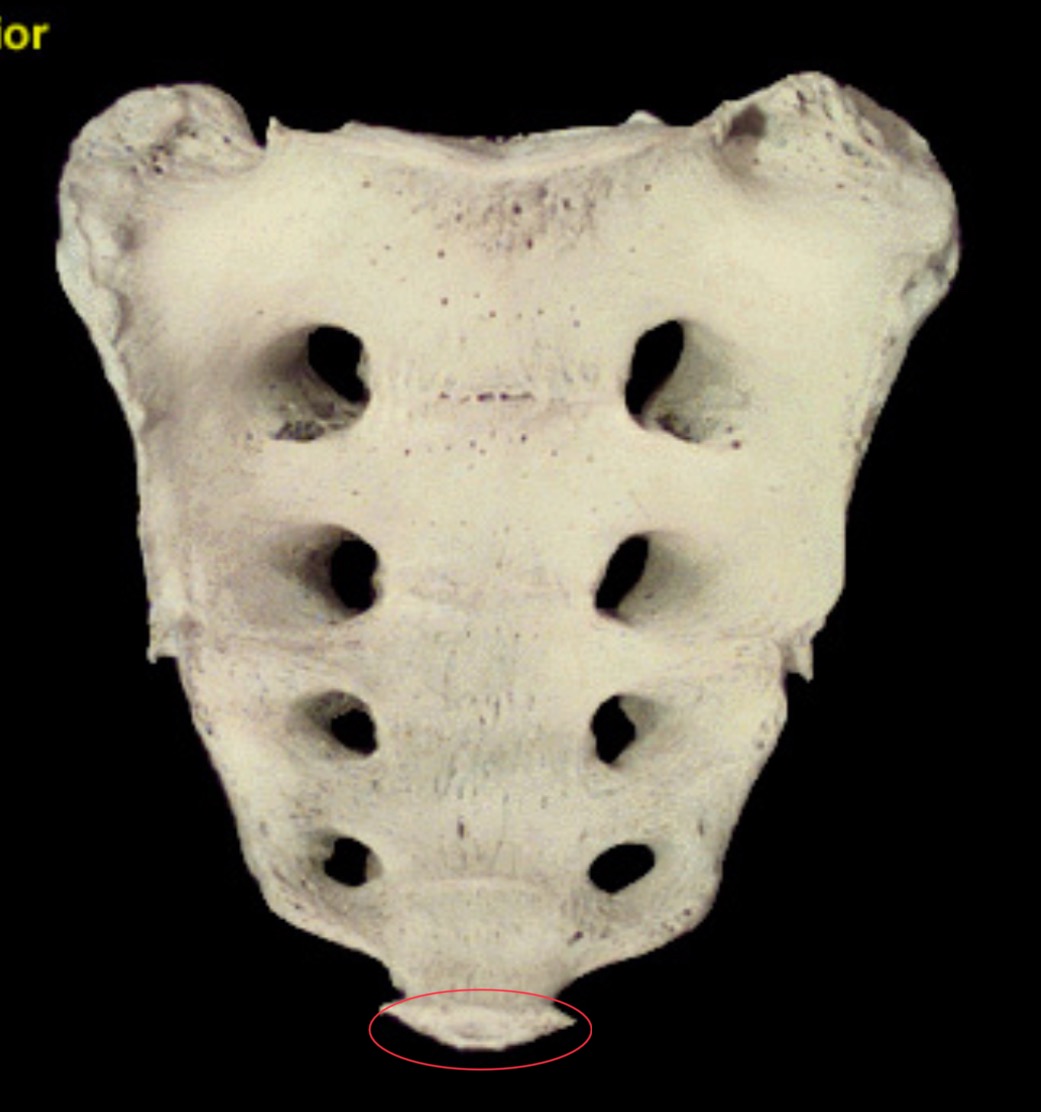 <p>What is this structure?</p>