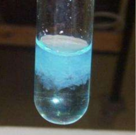 <ol><li><p>Name of the test</p></li><li><p>Type of reaction</p></li><li><p>The Ag is pesent in soluble form called……</p></li><li><p>The Ab in this reaction is called…..</p></li><li><p>Test is used for ……</p></li></ol>