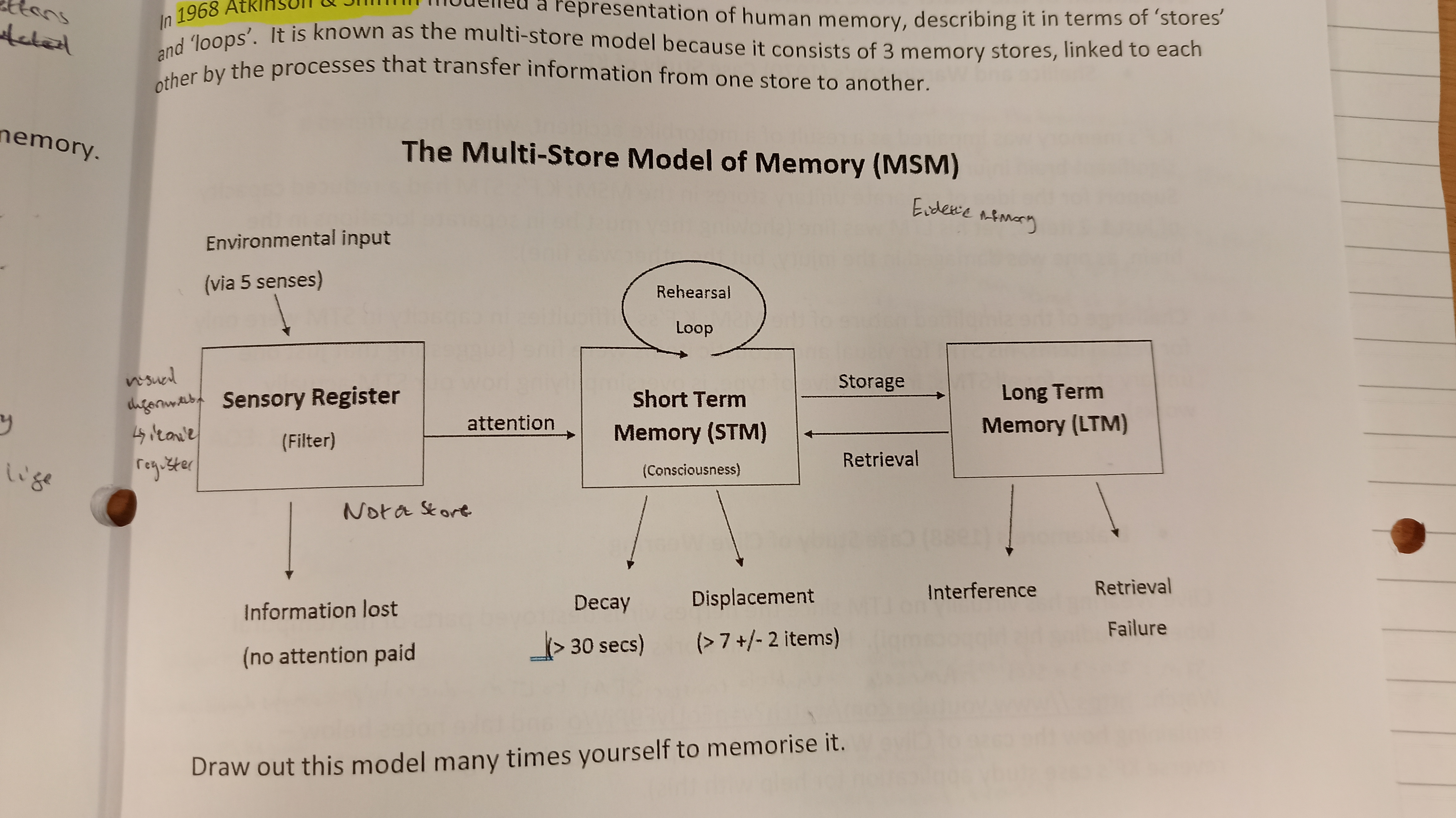 <p>Model should be attached</p>